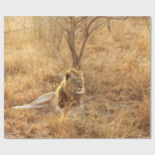 Lion Cadeaupapier