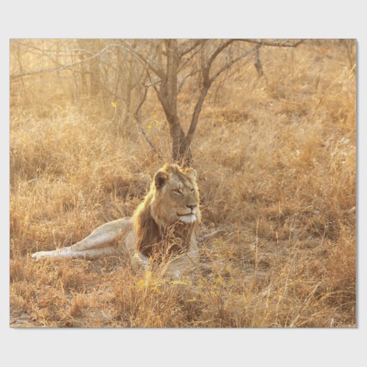 Lion Cadeaupapier (Vlak)