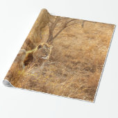Lion Cadeaupapier (Uitgerold)