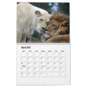 Lion Calendar Kalender (Mar 2027)