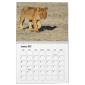 Lion Calendar Kalender (Jan 2027)