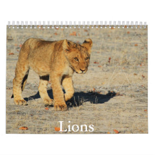 Lion Calendar Kalender