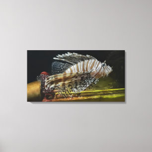 Lion Canvas Afdruk