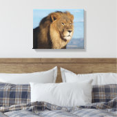 Lion Canvas Afdruk (Insitu (Slaapkamer))