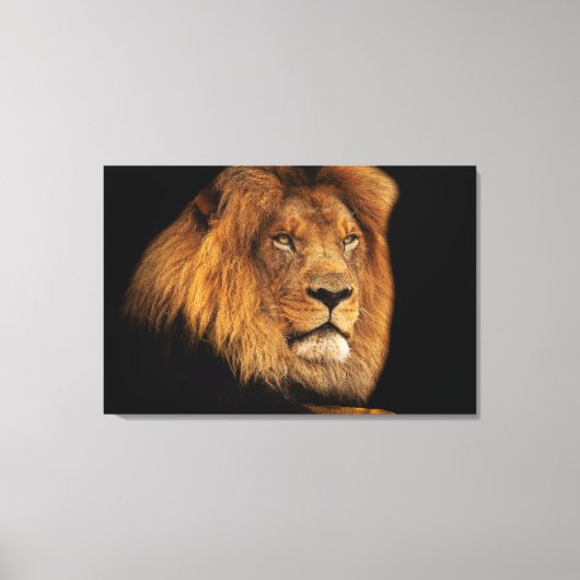 Lion Canvas Afdruk (Voorkant)