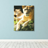 Lion Canvas Afdruk (Insitu (Houten vloer))