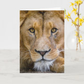 LION CARD BLANK KAART (Gele Bloem)