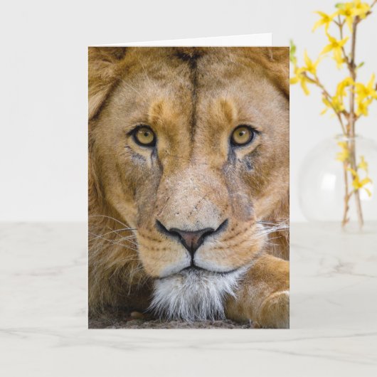 LION CARD BLANK KAART (Gele Bloem)
