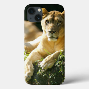 Lion iPhone 13 Hoesje
