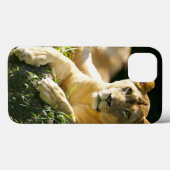 Lion Case-Mate iPhone Case (Achterkant (horizontaal))