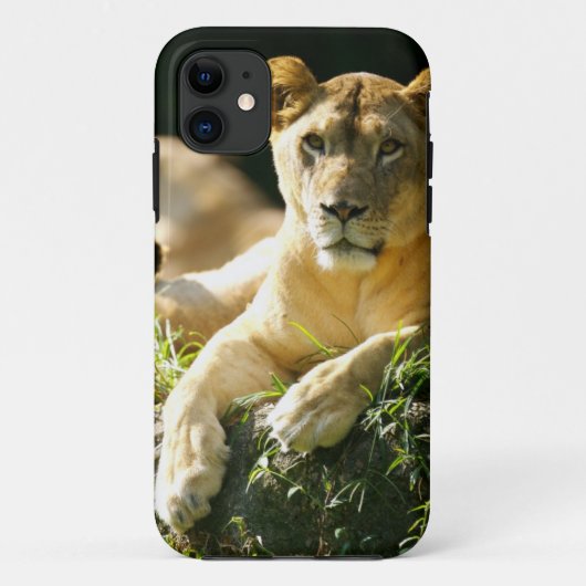 Lion Case-Mate iPhone Case (Achterkant)