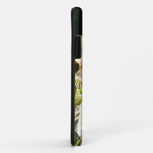 Lion Case-Mate iPhone Case (Achterkant/rechts)