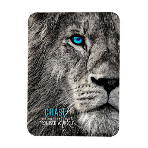 Lion Chase Jouw dromen Magneet
