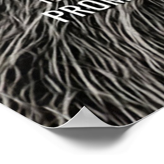 Lion Chase Jouw dromen Poster (Hoek)