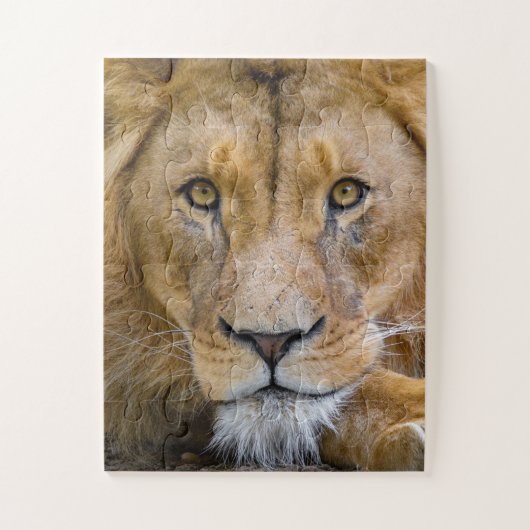 LION CLOSEUP FOTOGRAPHY JIGSAW PUZZLE LEGPUZZEL (Verticaal)
