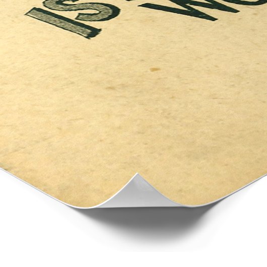 Lion Coffee Mocha Java Rio Advertisement Poster (Hoek)