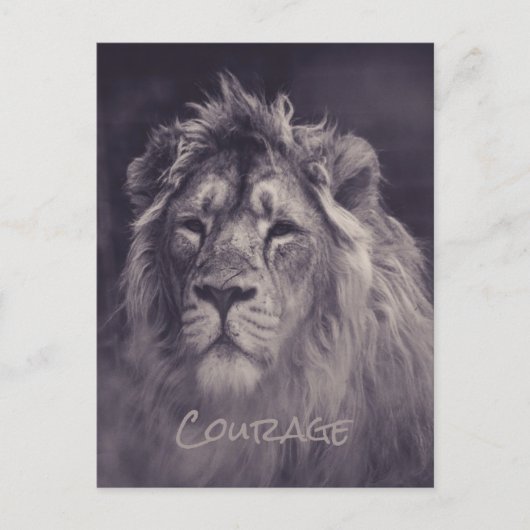 Lion Courage King of the Oerwoud Briefkaart (Voorkant)