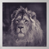 Lion Courage King of the Oerwoud Poster (Voorkant)