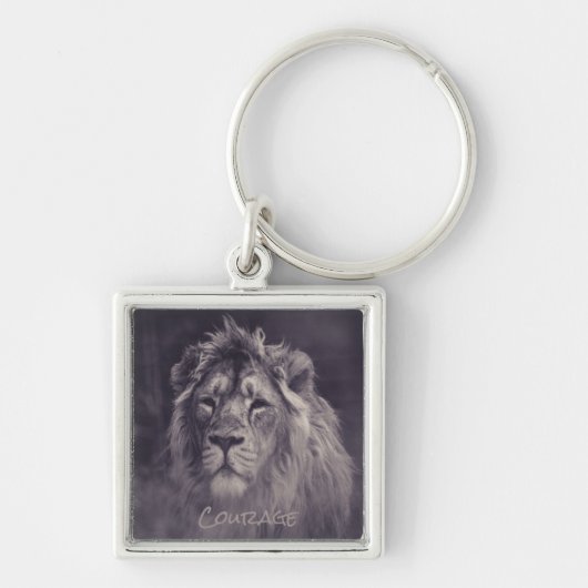 Lion Courage King of the Oerwoud Sleutelhanger (Voorkant)