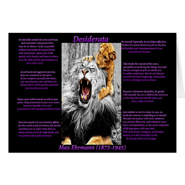 Lion Cub (Voorkant Horizontaal)