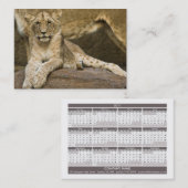 Lion Cub 2011 Pocket Calendar (UK) Visitekaartje (Voorkant / Achterkant)
