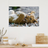 Lion Cub 2 Poster (Keuken)