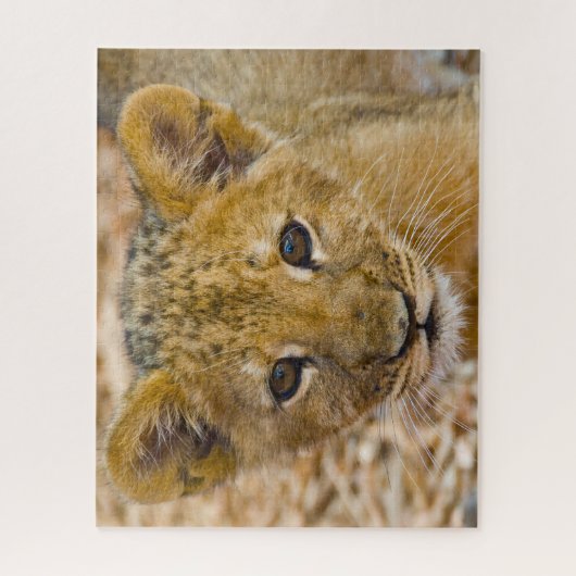 Lion Cub Big Cats. Legpuzzel (Verticaal)