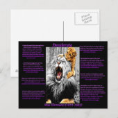 Lion Cub Briefkaart (Voorkant / Achterkant)