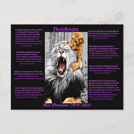 Lion Cub Briefkaart (Voorkant)