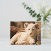 Lion Cub Briefkaart (Staand voorkant)