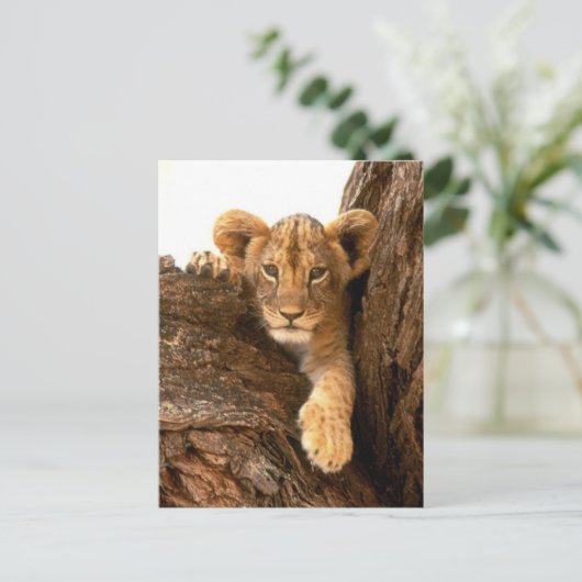 Lion Cub Briefkaart (Staand voorkant)