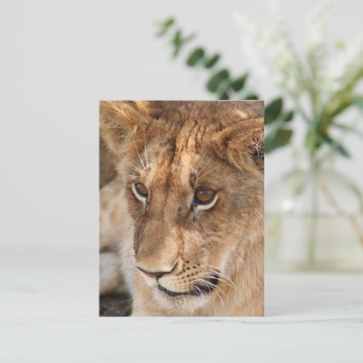Lion Cub Briefkaart (Staand voorkant)