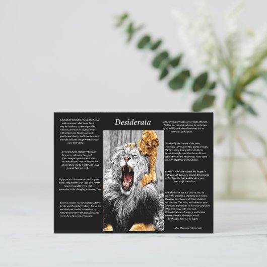 Lion Cub Briefkaart (Staand voorkant)