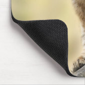 Lion Cub Climbing Tree Cute Photo Muismat (Hoek)