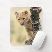 Lion Cub Climbing Tree Cute Photo Muismat (Met muis)