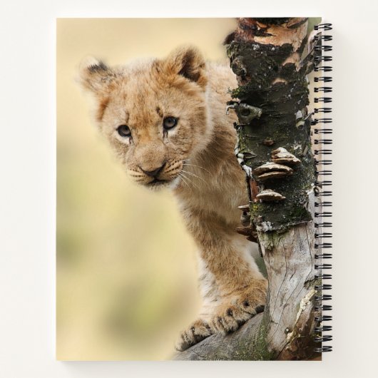 Lion Cub Climbing Tree Cute Photo Notitieboek (Achterkant)