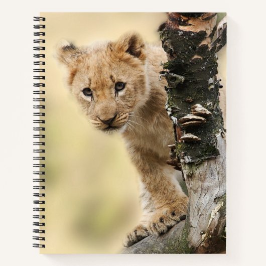 Lion Cub Climbing Tree Cute Photo Notitieboek (Voorkant)