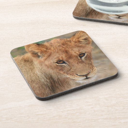 Lion Cub Drankjes Onderzetter (Linkerzijde)