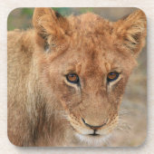 Lion Cub Drankjes Onderzetter (Voorkant)