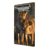 Lion Cub en moeder Mini Klembord (Angled2)