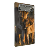 Lion Cub en moeder Mini Klembord (Schuin)