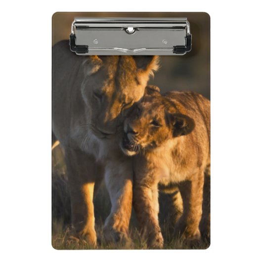 Lion Cub en moeder Mini Klembord (Voorkant)
