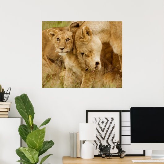 Lion Cub en moeder Poster (Thuiskantoor)