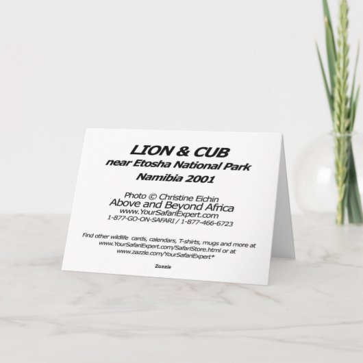 Lion & Cub Kaart (Achterkant)