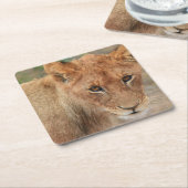 Lion Cub Kartonnen Onderzetters (Schuin)