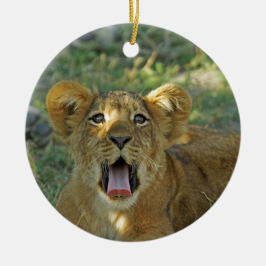 Lion Cub Keramisch Ornament (Voorkant)