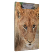 Lion Cub Klembord (Rechts)