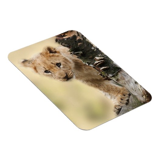 Lion Cub Magneet (Rechterzijde)