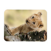 Lion Cub Magneet (Horizontaal)