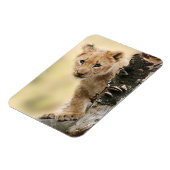 Lion Cub Magneet (Linkerzijde)